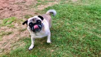 Free download Endless Movement video and edit with RedcoolMedia movie maker MovieStudio video editor online and AudioStudio audio editor onlin