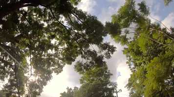 Free download ENE / JAN 31 video and edit with RedcoolMedia movie maker MovieStudio video editor online and AudioStudio audio editor onlin