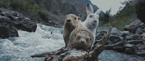 Free download Energie Schweiz - Erneuerbar heizen video and edit with RedcoolMedia movie maker MovieStudio video editor online and AudioStudio audio editor onlin