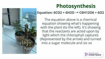 Free download Energy Summative video and edit with RedcoolMedia movie maker MovieStudio video editor online and AudioStudio audio editor onlin