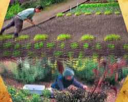 Free download ENG_051 Song 36, Gitanjali - by Rabindranath Tagore(CH_01) video and edit with RedcoolMedia movie maker MovieStudio video editor online and AudioStudio audio editor onlin