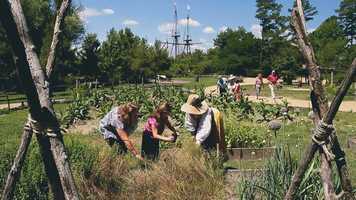 Free download Engage, Experience, Enjoy video and edit with RedcoolMedia movie maker MovieStudio video editor online and AudioStudio audio editor onlin