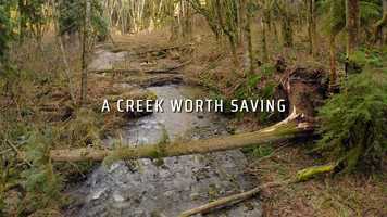 Free download ENNIS - A Creek Worth Saving video and edit with RedcoolMedia movie maker MovieStudio video editor online and AudioStudio audio editor onlin