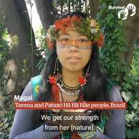 Free download Enough blood has been shed video and edit with RedcoolMedia movie maker MovieStudio video editor online and AudioStudio audio editor onlin