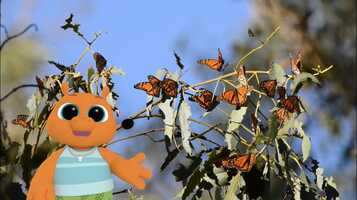 Free download Entomologist animation video and edit with RedcoolMedia movie maker MovieStudio video editor online and AudioStudio audio editor onlin