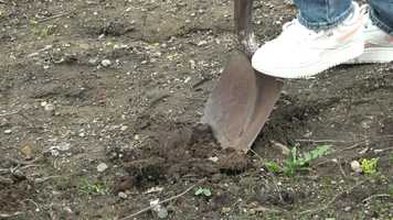 Free download Environmental Action Club at Ashland High School AROUND TOWN 4 21 2021 video and edit with RedcoolMedia movie maker MovieStudio video editor online and AudioStudio audio editor onlin