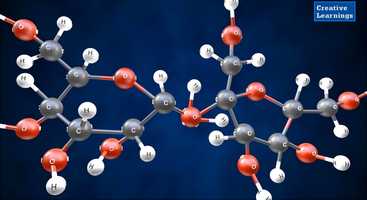 Free download Enzyme- Mechanism of Enzyme Action -Class 12 Topic-Chemistry- 3D Animation video and edit with RedcoolMedia movie maker MovieStudio video editor online and AudioStudio audio editor onlin