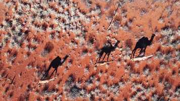 Free download Epic Road Trip in Australia on a James Baroud Roof Top Tent video and edit with RedcoolMedia movie maker MovieStudio video editor online and AudioStudio audio editor onlin