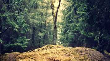 Free download Epic RomCom Blockbuster Trailer - Ugly  Blind video and edit with RedcoolMedia movie maker MovieStudio video editor online and AudioStudio audio editor onlin