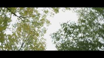 Free download EPIFANA video and edit with RedcoolMedia movie maker MovieStudio video editor online and AudioStudio audio editor onlin