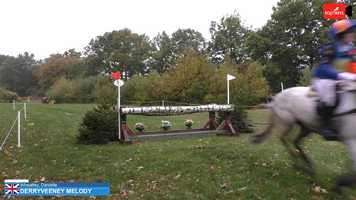 Free download EQUIREEL 1162  Danielle Wheatley  Derryveeney Melody at Tweseldown Unaffiliated October 2019 video and edit with RedcoolMedia movie maker MovieStudio video editor online and AudioStudio audio editor onlin