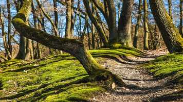 Free download Erhu Esraj - Mystic Music from the Beyond video and edit with RedcoolMedia movie maker MovieStudio video editor online and AudioStudio audio editor onlin