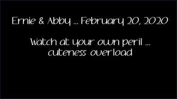 Free download Ernie  Abby, February 22, 2020 video and edit with RedcoolMedia movie maker MovieStudio video editor online and AudioStudio audio editor onlin