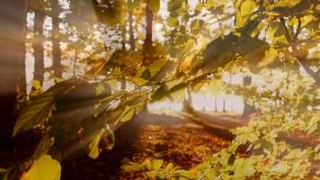 Free download Escape Trailer 3 video and edit with RedcoolMedia movie maker MovieStudio video editor online and AudioStudio audio editor onlin