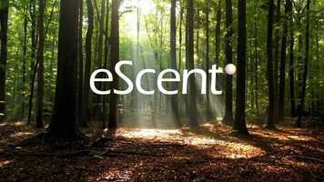 Free download eScent Platform Technology Film video and edit with RedcoolMedia movie maker MovieStudio video editor online and AudioStudio audio editor onlin