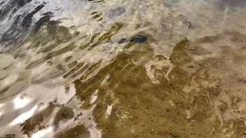 Free download E Stream Bottom (no voice) video and edit with RedcoolMedia movie maker MovieStudio video editor online and AudioStudio audio editor onlin