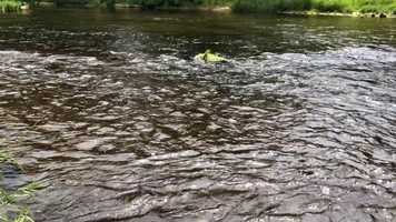 Free download E Stream (no voice) video and edit with RedcoolMedia movie maker MovieStudio video editor online and AudioStudio audio editor onlin