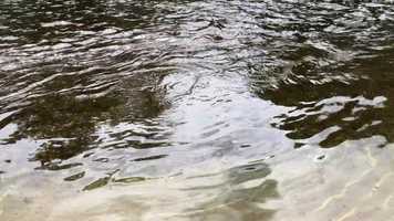 Free download E Stream Ripples (no voice) video and edit with RedcoolMedia movie maker MovieStudio video editor online and AudioStudio audio editor onlin