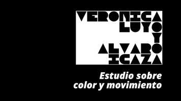 Free download Estudio sobre color y movimiento / study on colour and movement - Vernica Luyo, lvaro Icaza video and edit with RedcoolMedia movie maker MovieStudio video editor online and AudioStudio audio editor onlin