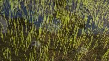 Free download Etabler din plne hurtigt med Quick Action video and edit with RedcoolMedia movie maker MovieStudio video editor online and AudioStudio audio editor onlin