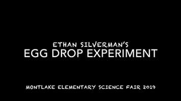 Free download Ethans Egg Drop video and edit with RedcoolMedia movie maker MovieStudio video editor online and AudioStudio audio editor onlin