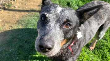 Free download Etsy video and edit with RedcoolMedia movie maker MovieStudio video editor online and AudioStudio audio editor onlin