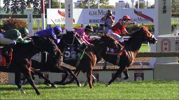 Free download Eurico_mindcoaching video and edit with RedcoolMedia movie maker MovieStudio video editor online and AudioStudio audio editor onlin