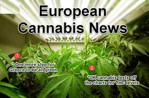 Free download European Marijuana Business News and Updates video and edit with RedcoolMedia movie maker MovieStudio video editor online and AudioStudio audio editor onlin