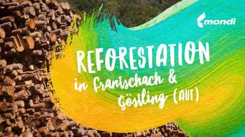 Free download European Paper Bag Day 2019 video and edit with RedcoolMedia movie maker MovieStudio video editor online and AudioStudio audio editor onlin