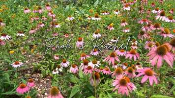 Free download Eusse Wedding video and edit with RedcoolMedia movie maker MovieStudio video editor online and AudioStudio audio editor onlin