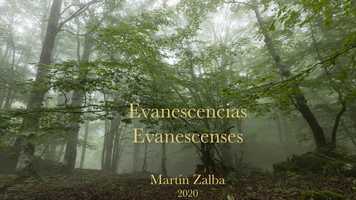 Free download EVANESCENCIAS/EVANESCENCES video and edit with RedcoolMedia movie maker MovieStudio video editor online and AudioStudio audio editor onlin