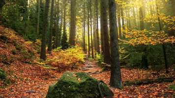 Free download Evening music meditation - VMH 9-9-2020 video and edit with RedcoolMedia movie maker MovieStudio video editor online and AudioStudio audio editor onlin