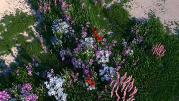 Free download Everyday Experiments: Forever Meadow video and edit with RedcoolMedia movie maker MovieStudio video editor online and AudioStudio audio editor onlin