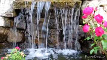 Free download Every Rose Has Itapos;s Thorn IKOH Ft. Bosnia HD video and edit with RedcoolMedia movie maker MovieStudio video editor online and AudioStudio audio editor onlin