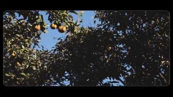 Free download everything is love video and edit with RedcoolMedia movie maker MovieStudio video editor online and AudioStudio audio editor onlin