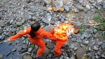 Free download Every Word Was Once An Animal (work-in-progress 2019-20) video and edit with RedcoolMedia movie maker MovieStudio video editor online and AudioStudio audio editor onlin