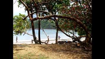 Free download Every Year on Christmas Night video and edit with RedcoolMedia movie maker MovieStudio video editor online and AudioStudio audio editor onlin