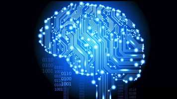 Free download Evolution Of The Brain video and edit with RedcoolMedia movie maker MovieStudio video editor online and AudioStudio audio editor onlin