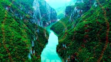 Free download Ex-Chrome.Art - Nature video and edit with RedcoolMedia movie maker MovieStudio video editor online and AudioStudio audio editor onlin