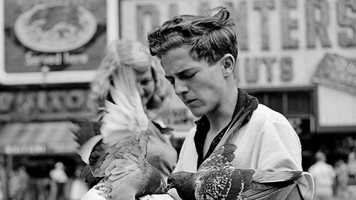 Free download Exerccio de montagem video and edit with RedcoolMedia movie maker MovieStudio video editor online and AudioStudio audio editor onlin