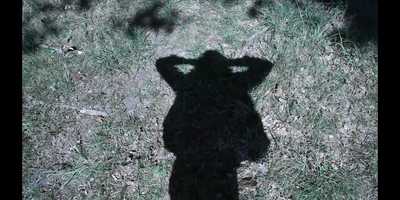 Free download Exercices de cinéma (2011) by XZhi video and edit with RedcoolMedia movie maker MovieStudio video editor online and AudioStudio audio editor onlin