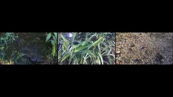 Free download Exercise 1+2 video and edit with RedcoolMedia movie maker MovieStudio video editor online and AudioStudio audio editor onlin