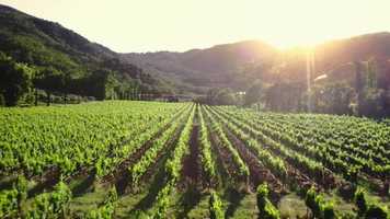 Free download Experience the taste of saving the planet video and edit with RedcoolMedia movie maker MovieStudio video editor online and AudioStudio audio editor onlin