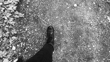 Free download Exploring the Frame - The Dream video and edit with RedcoolMedia movie maker MovieStudio video editor online and AudioStudio audio editor onlin