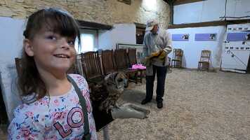 Free download Extravaganzer240821.mov video and edit with RedcoolMedia movie maker MovieStudio video editor online and AudioStudio audio editor onlin