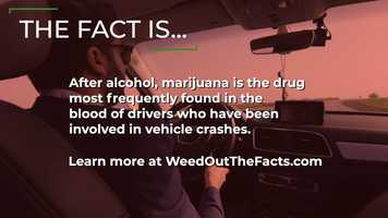 Free download Fact - After alcohol, marijuana is the drug most frequently found in the blood of drivers who have been involved in vehicle cras video and edit with RedcoolMedia movie maker MovieStudio video editor online and AudioStudio audio editor onlin