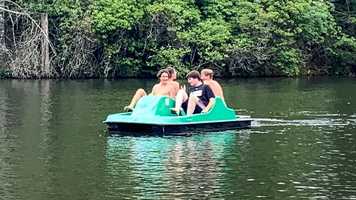 Free download Falcons Baseball Georgia 2020 video and edit with RedcoolMedia movie maker MovieStudio video editor online and AudioStudio audio editor onlin