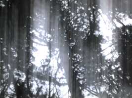 Free download Fall 19 Roll 3 Cam Roll Film-1 video and edit with RedcoolMedia movie maker MovieStudio video editor online and AudioStudio audio editor onlin