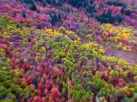 Free download Fall Foliage video and edit with RedcoolMedia movie maker MovieStudio video editor online and AudioStudio audio editor onlin