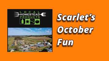 Free download Fall Fun! video and edit with RedcoolMedia movie maker MovieStudio video editor online and AudioStudio audio editor onlin